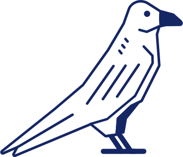 crow PNG, SVG