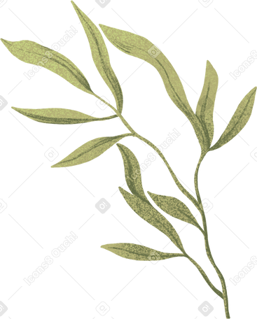 Branche mince avec des feuilles vertes allongées PNG, SVG