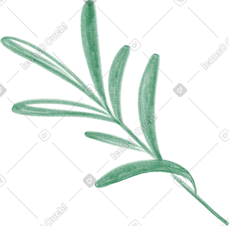 leaves of romarinus PNG, SVG