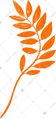 orange branch with laurel leaves PNG, SVG