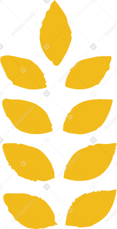 wheat Illustration in PNG, SVG