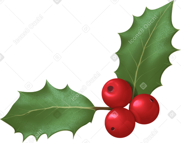 Weihnachtsstechpalme PNG, SVG