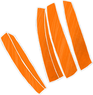 carrot slices PNG, SVG