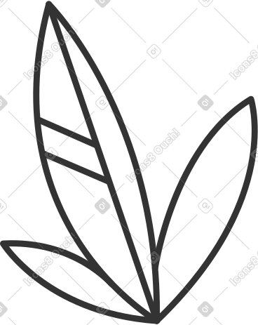 Three white leaves with black outline PNG, SVG