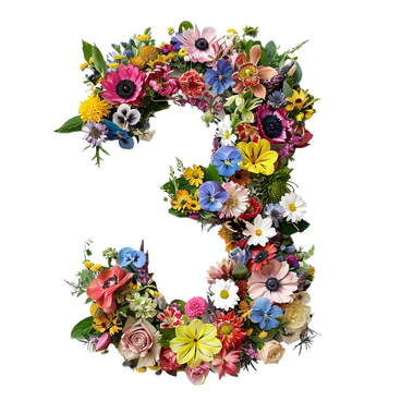 Número da flor PNG, SVG