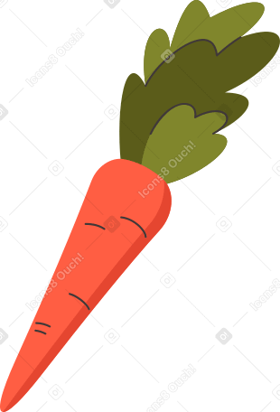 carrot Illustration in PNG, SVG