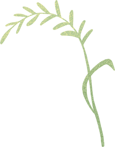 one small curved blade of grass PNG, SVG