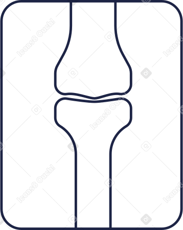 x ray PNG, SVG
