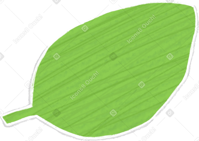 one green leaf Illustration in PNG, SVG