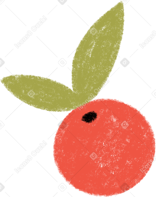 red berry with leaf Illustration in PNG, SVG