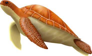 Tartaruga grande PNG, SVG