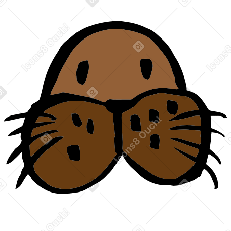walrus head PNG, SVG