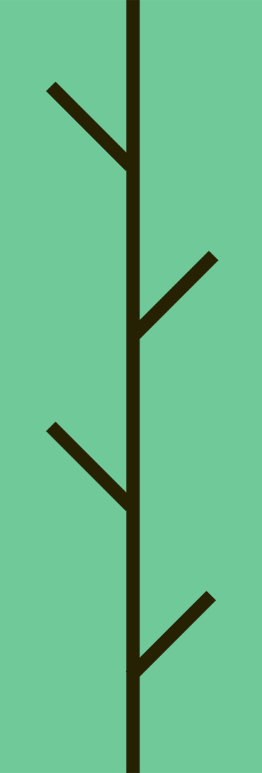 Branch PNG, SVG