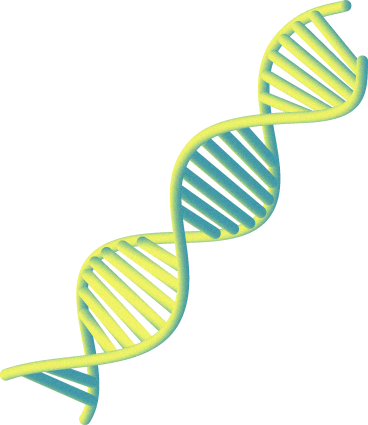 dna chain PNG, SVG