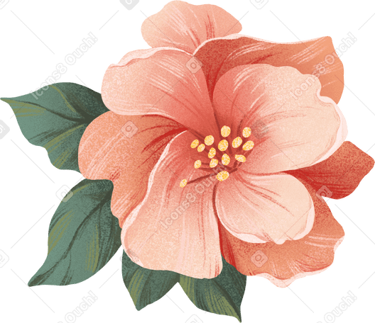 small rosehip flower with green leaves around the edges PNG, SVG