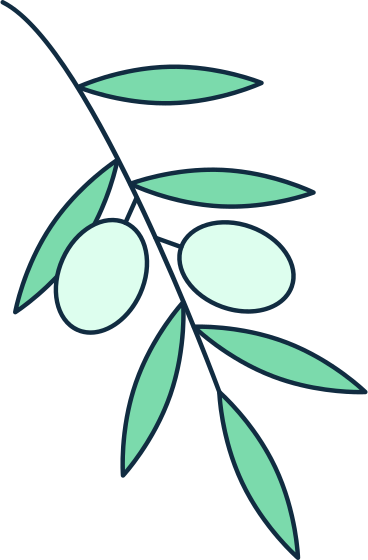 olive branch PNG, SVG