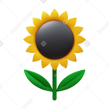 3D sunflower PNG, SVG