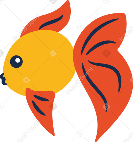 gold fish Illustration in PNG, SVG