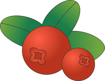 cranberry PNG, SVG