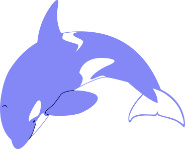 killer whale jumping PNG, SVG