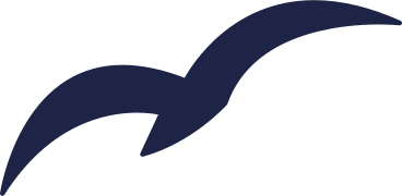seagull PNG, SVG