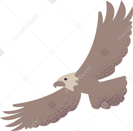 eagle Illustration in PNG, SVG