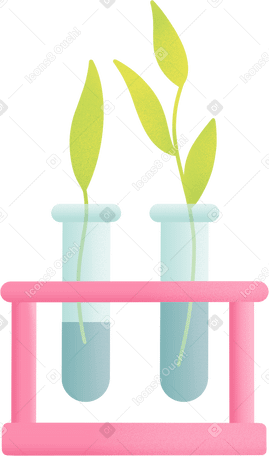 flasks with plants PNG、SVG