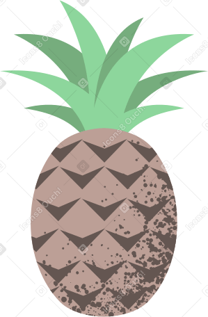 pineapple Illustration in PNG, SVG