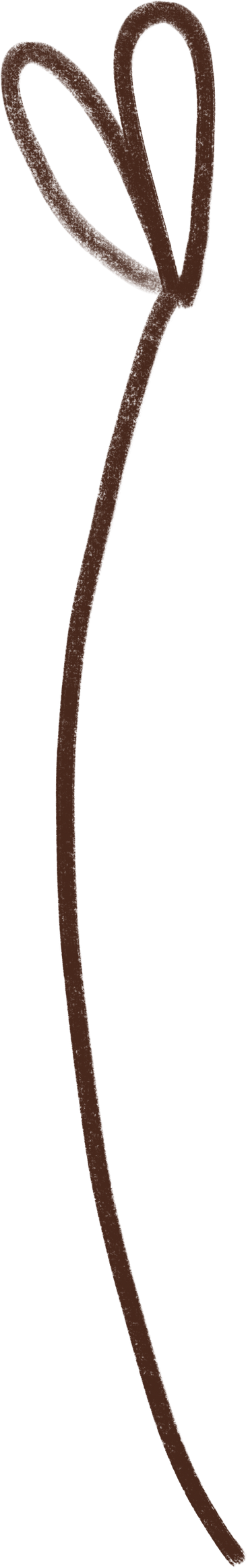 brown string with a bow PNG, SVG