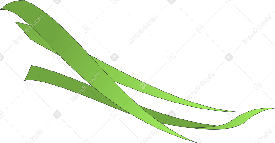 3枚の薄い草の葉 PNG、SVG