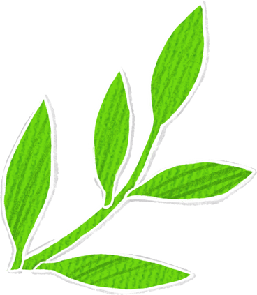 twig with green leaves pointing to the right side PNG, SVG