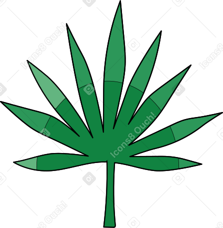 palm leaf PNG, SVG