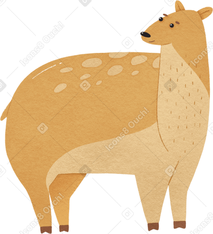 small light brown doe with a light breast Illustration in PNG, SVG