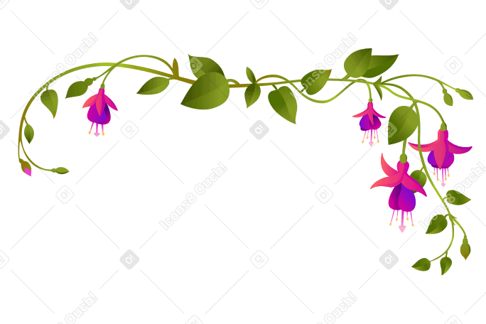 Цветы фуксии среди переплетающихся ветвей в угловой композиции в PNG, SVG