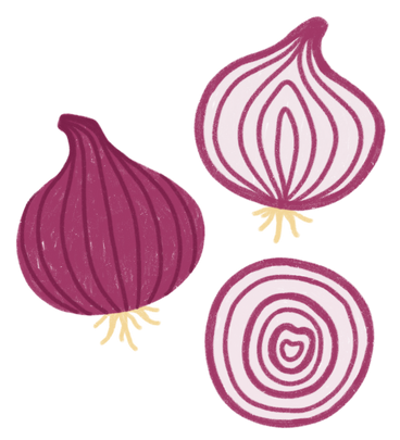 Onion, half of onion, onion slice PNG, SVG