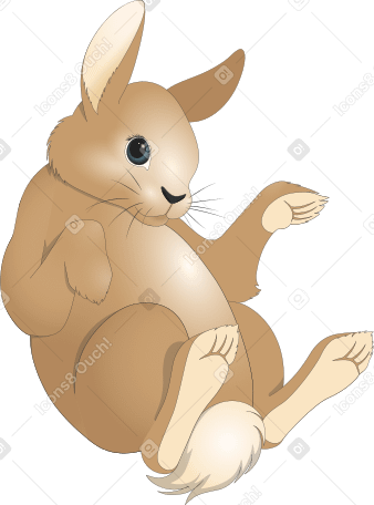 复活节兔子 PNG, SVG