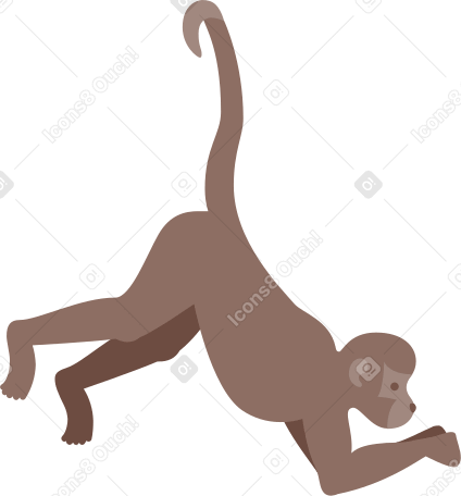 원숭이 PNG, SVG