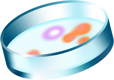 Petri dish PNG, SVG