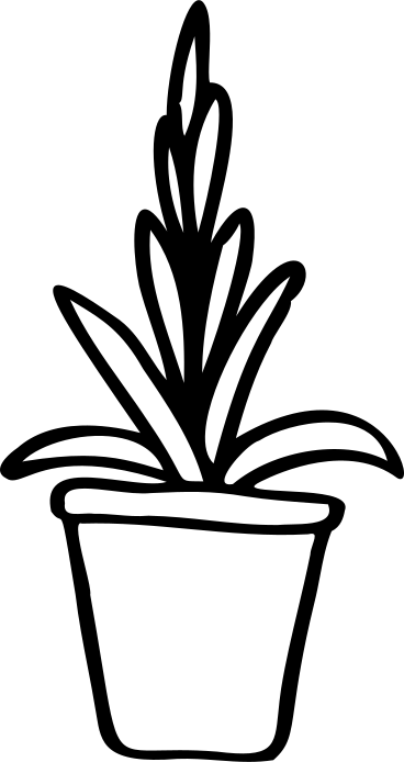 House plant PNG, SVG