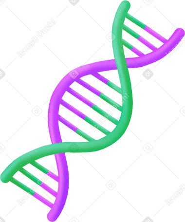 Dna 가닥 PNG, SVG