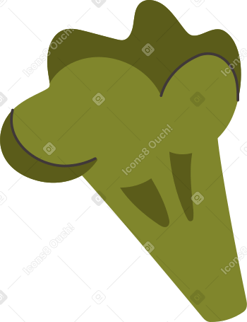 broccoli Illustration in PNG, SVG