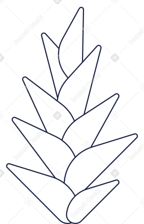 тропический цветок в PNG, SVG