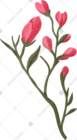 树枝上的玫瑰花蕾 PNG, SVG