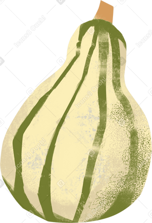 zucchini PNG, SVG