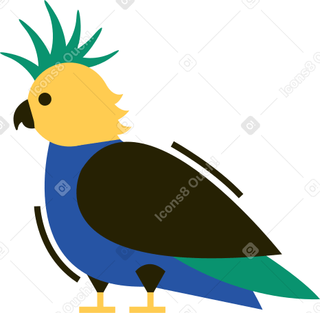 perroquet PNG, SVG