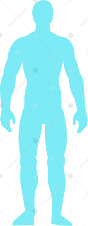 PNG 및 SVG의 Diagram of the human body 일러스트