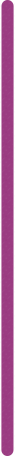 burgundy vertical web line Illustration in PNG, SVG