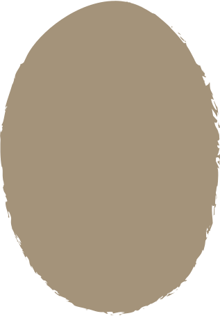 grey ellipse Illustration in PNG, SVG