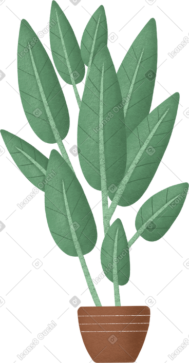 Plant PNG, SVG