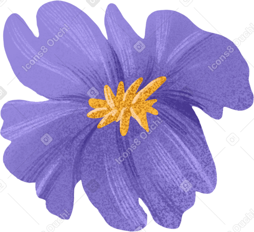 purple flower with a yellow center PNG, SVG